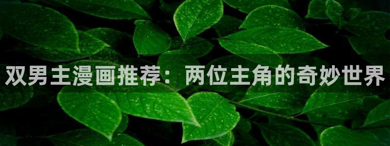 volcanicage漫画：双男主漫画推荐：两位主角的奇妙世界