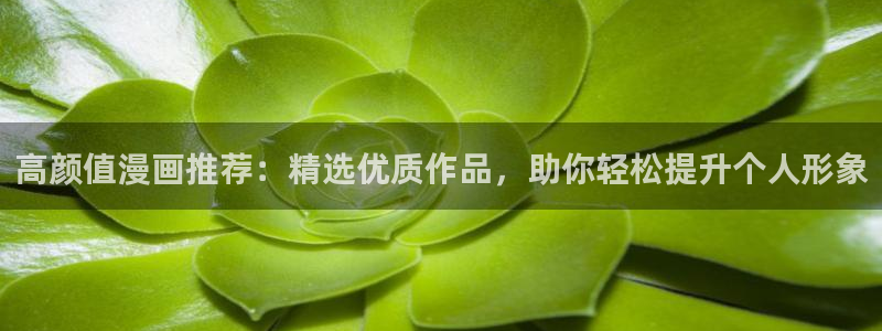 樱花动漫官网在线入口：高颜值漫画推荐：精选优质作品，助你轻松提升个人形象