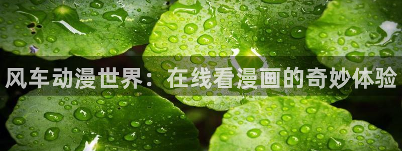 下载樱花动漫：风车动漫世界：在线看漫画的奇妙体验
