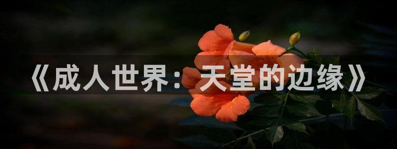 age漫画网